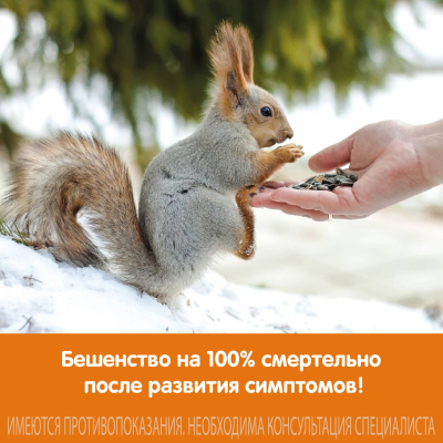 Главное изображение