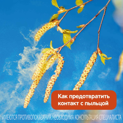 Главное изображение