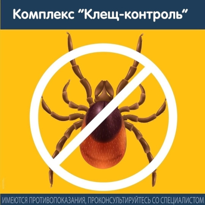 Главное изображение