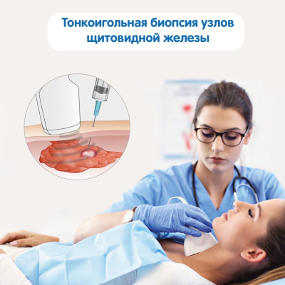 Главное изображение