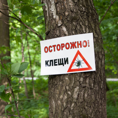 Главное изображение