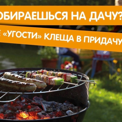 Главное изображение