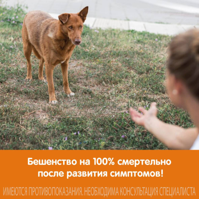 Главное изображение