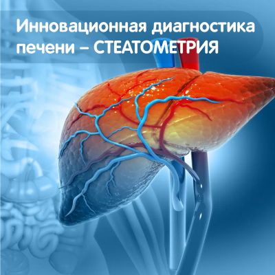 Главное изображение