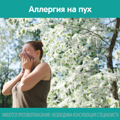 Главное изображение