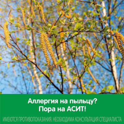 Главное изображение
