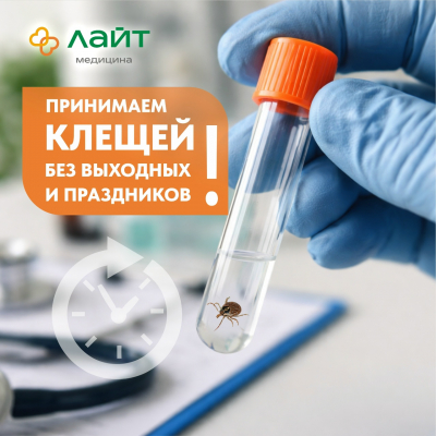 Главное изображение