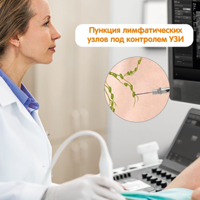 Главное изображение