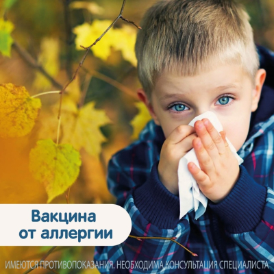 Главное изображение